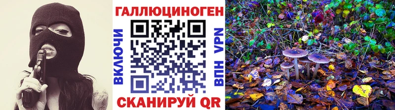 Псилоцибиновые грибы Cubensis  где купить наркоту  Пошехонье 